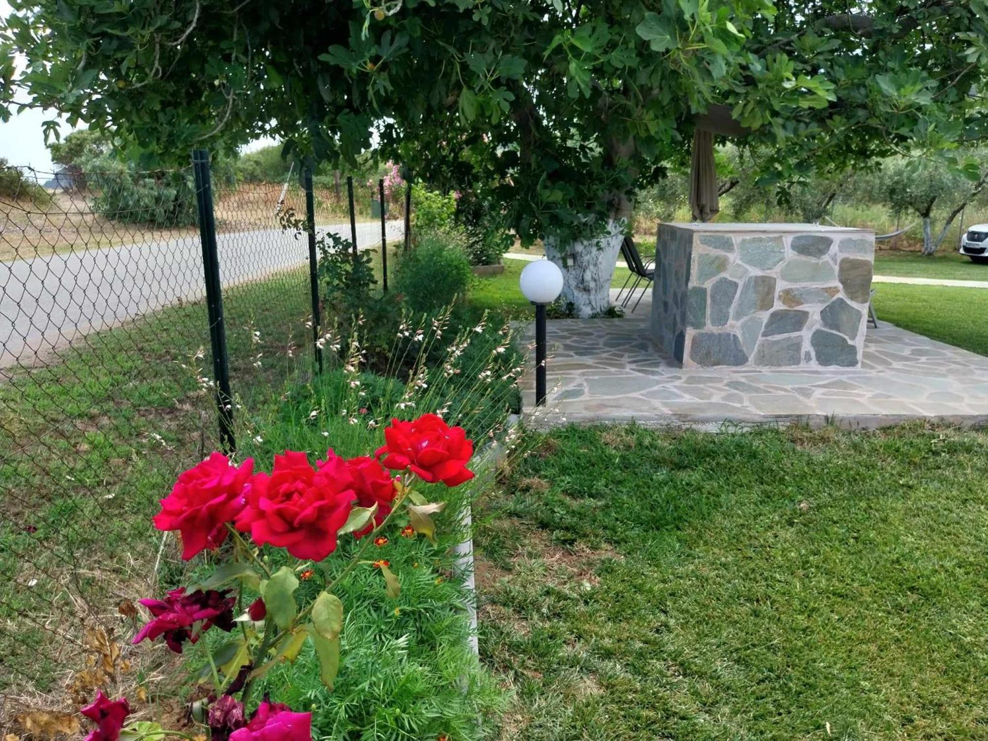 Bill & Eva'S Precious Jewel Villa Pyrgadikia Exterior photo